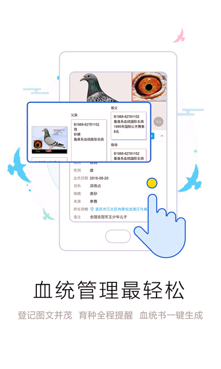 爱鸽者手机版下载(暂未上线)