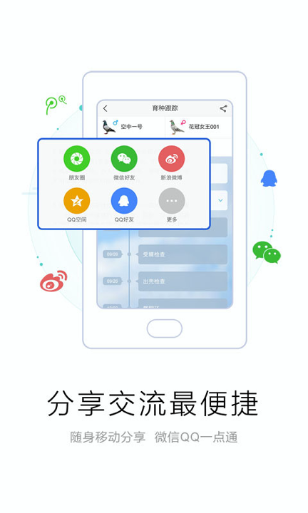 爱鸽者手机版下载(暂未上线)