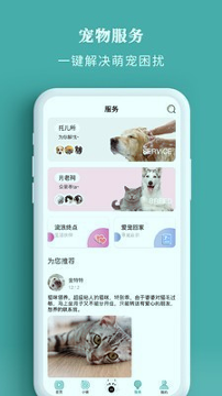 宠朕手机版_宠朕安卓版下载