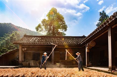 幸福村手机版_幸福村安卓版下载