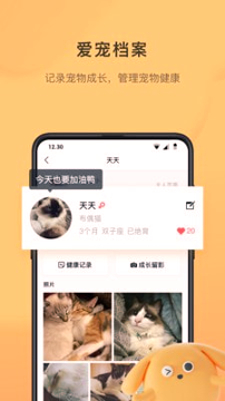 宠明手机版_宠明安卓版下载