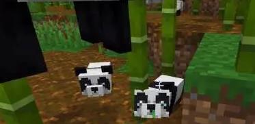 我的世界熊猫有什么用 怎么驯服它们