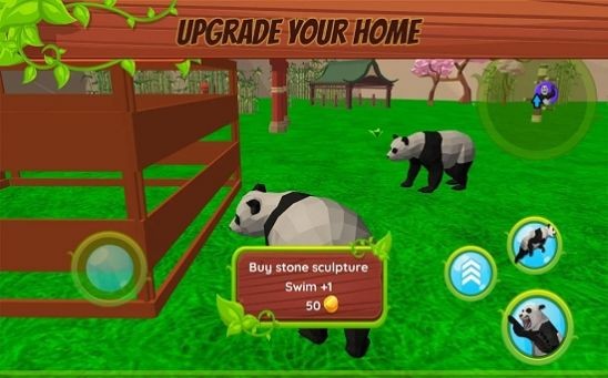 暴富吧！小熊猫
