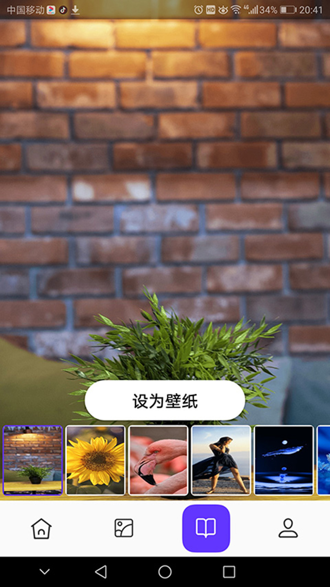 皮皮助手手机版_皮皮助手安卓版下载