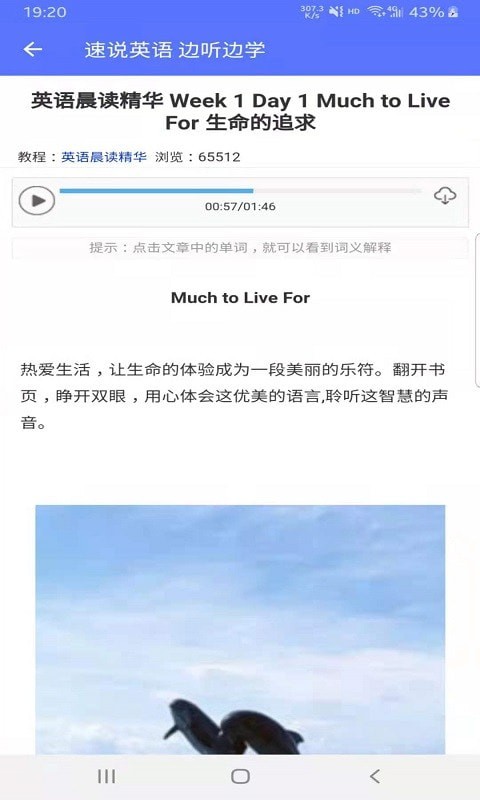 速说英语手机版下载(暂未上线)