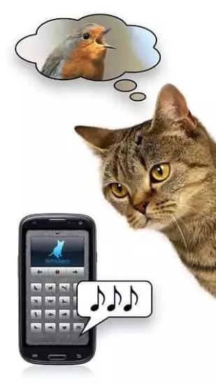 人猫翻译器手机版_人猫翻译器安卓版下载