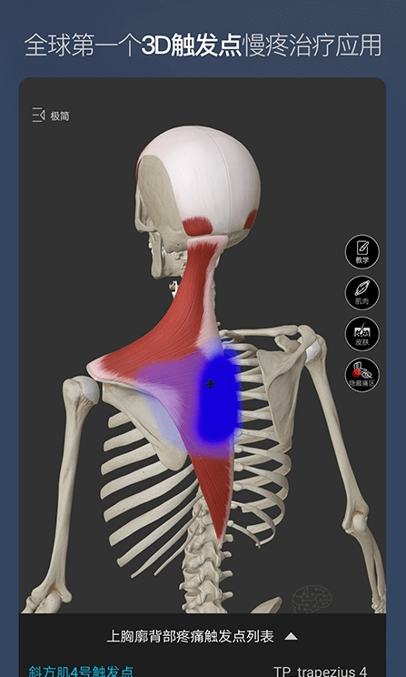 维萨里3D解剖手机版_维萨里3D解剖安卓版下载