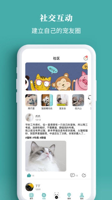 宠朕手机版_宠朕安卓版下载