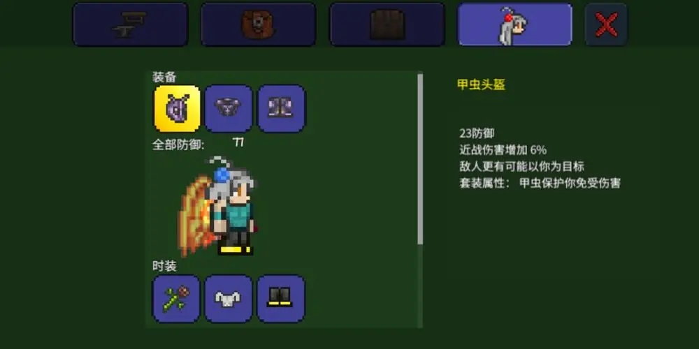 泰拉瑞亚甲虫套配饰怎么搭配 如何合理搭配装备