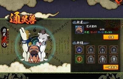 火影忍者手游通灵兽怎么激活 通灵兽卷轴怎么使用 火影忍者手游通灵兽怎么激活 通灵兽卷轴怎么使用