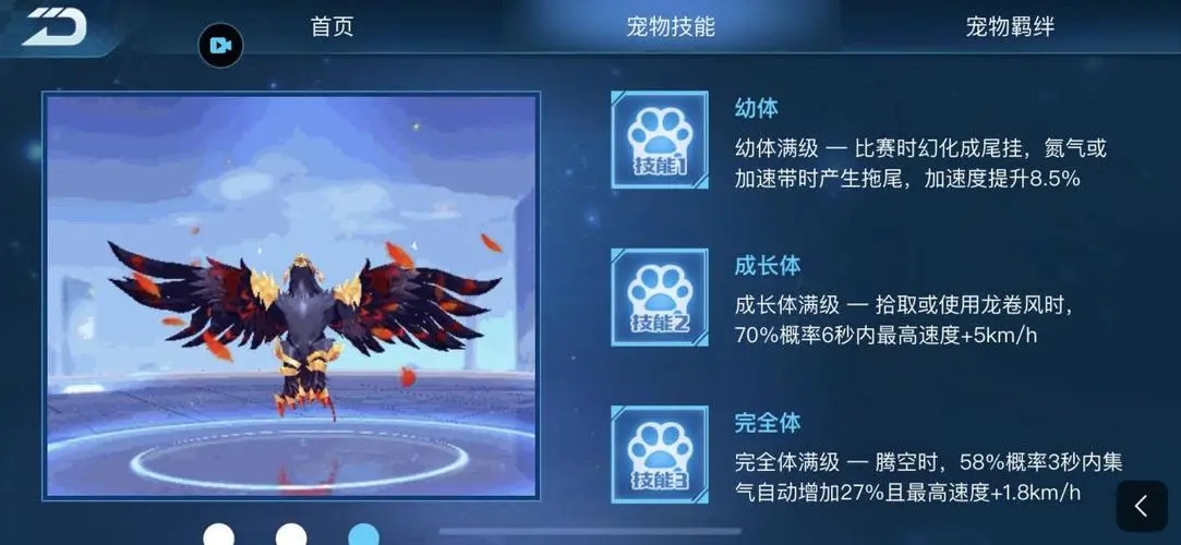 qq飞车宠物需要多少宠物能量