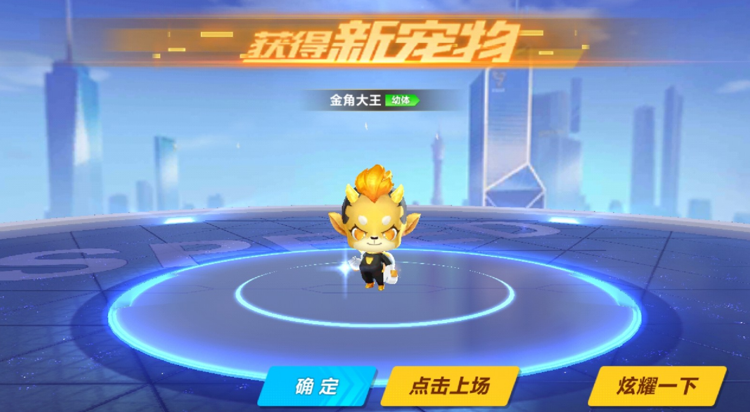 qq飞车哪个宠物最好