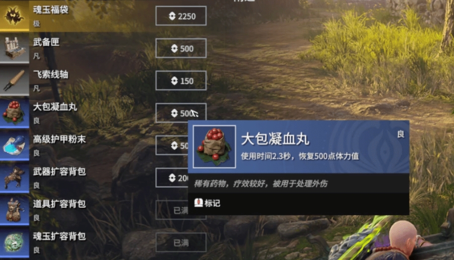 永劫无间飞鸟任务怎么完成