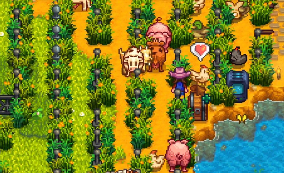 星露谷物语女角色介绍是什么