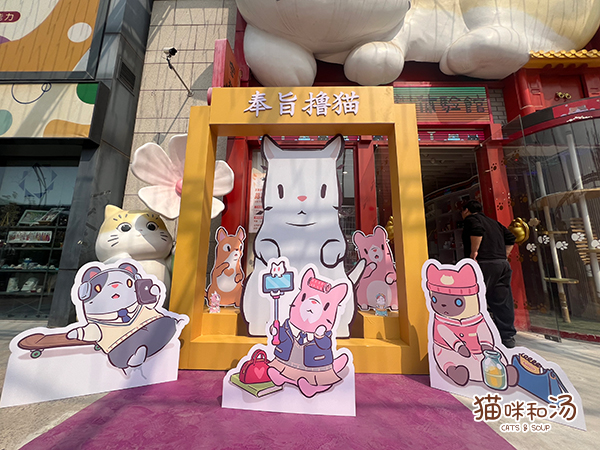 猫咪和汤×宫猫体验馆 奉旨撸猫主题店上线